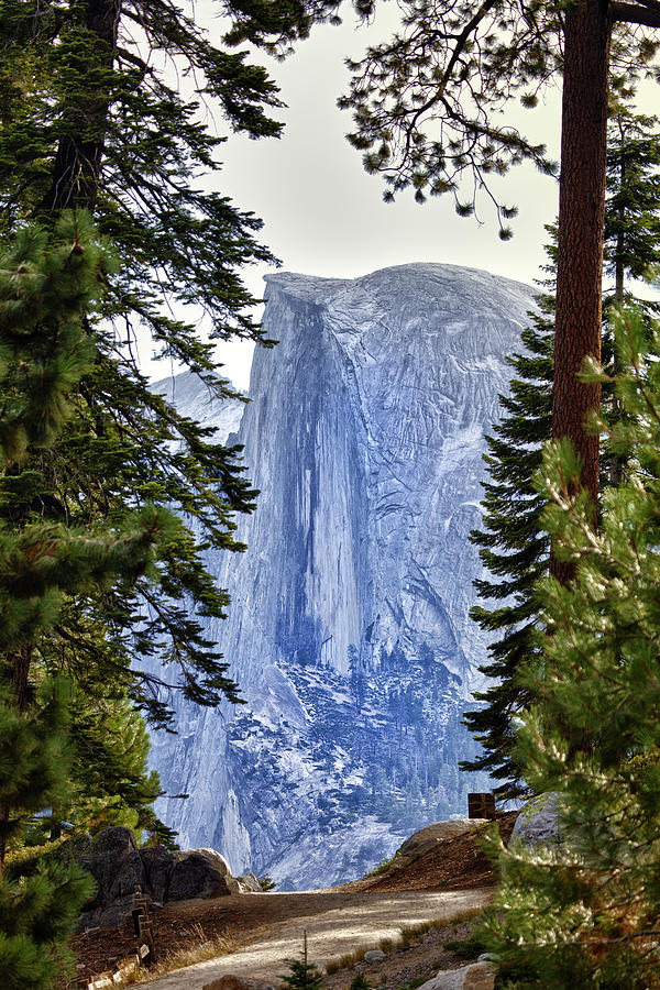 Yosemite National Park Photograph - Half Dome Through The Trees by Rick Berk