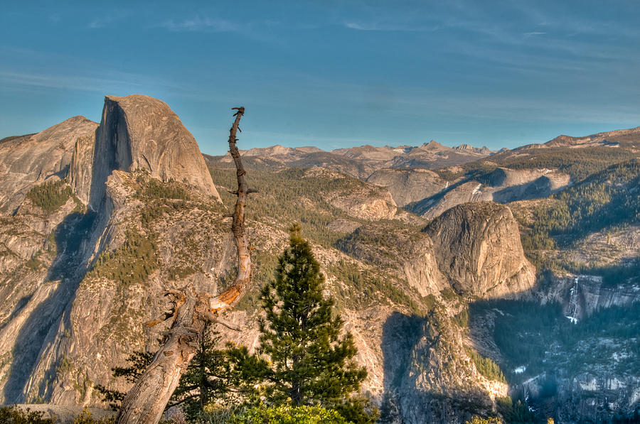 Half Dome Yosemite Photograph by Connie Cooper-Edwards