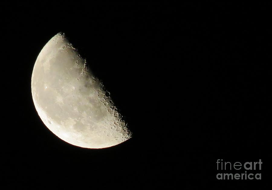 Nature Photograph - Half In Half Out Half Moon by J J  Everson
