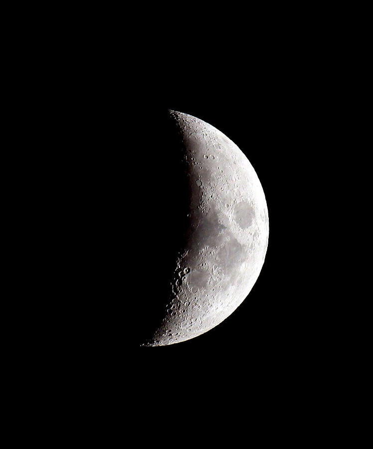 Half Moon Photograph by Athena Mckinzie