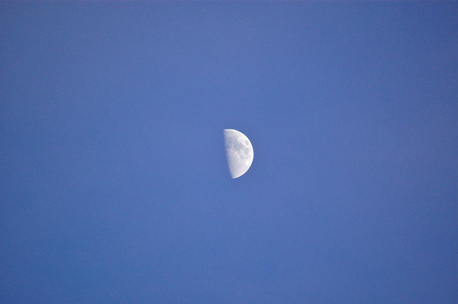 Half Moon Photograph by Mary McAvoy