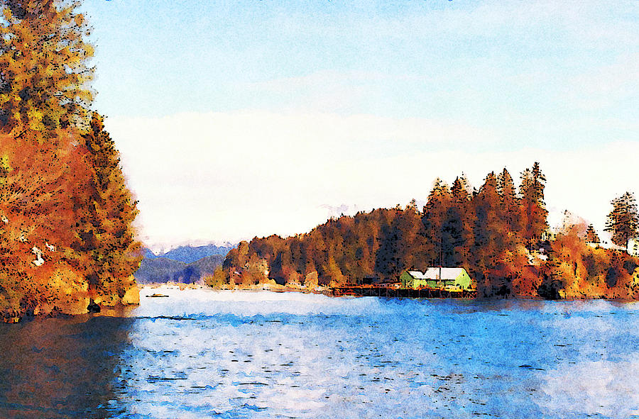 Halibut Cove Homer Alaska Photograph by David G Paul Fine Art America