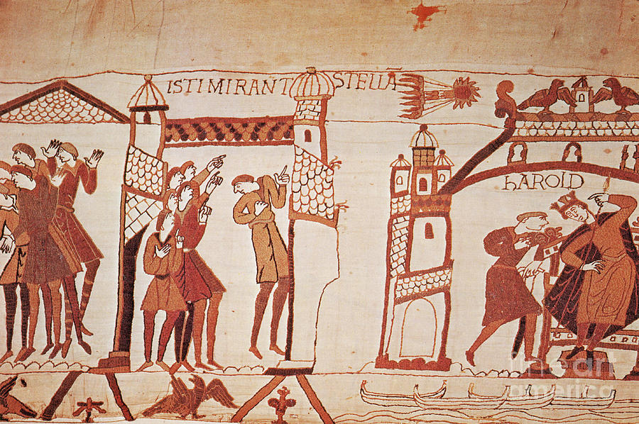 Halleys Comet, Bayeux Tapestry Photograph by Photo Researchers