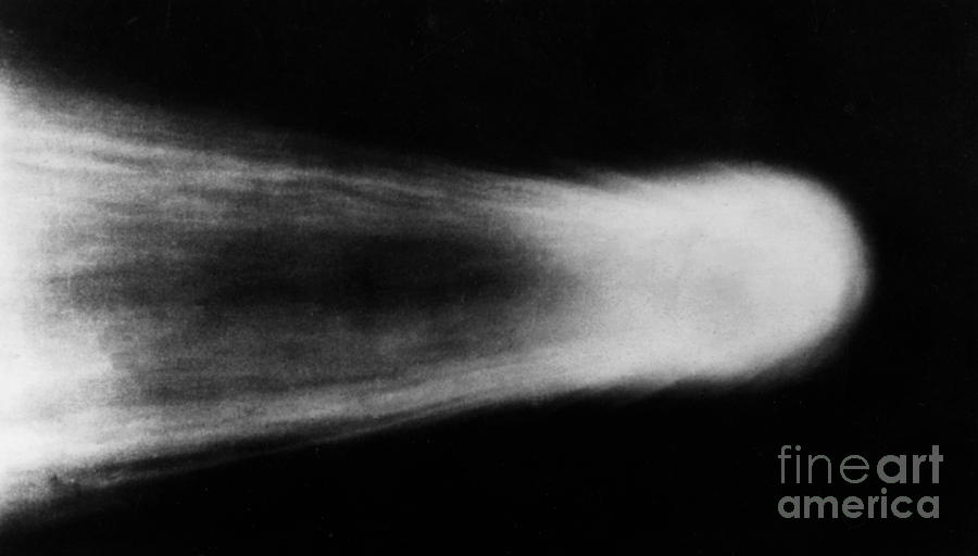 Halley's Comet Photograph - Halleys Comet by Science Source/NASA