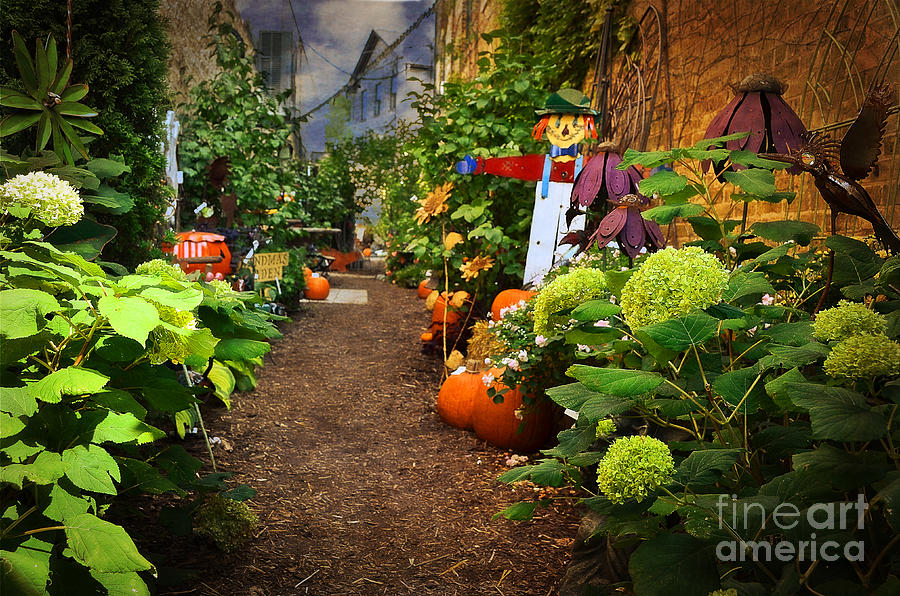 Halloween Alley Photograph by Mary Machare