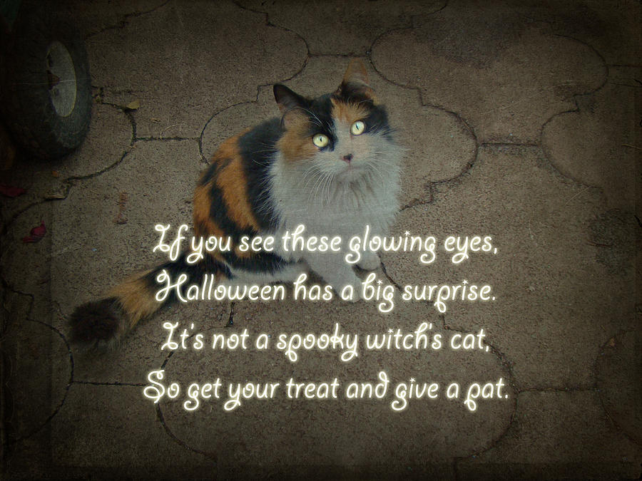 Halloween Calico Cat and Poem Greeting Card Photograph by Carol Senske