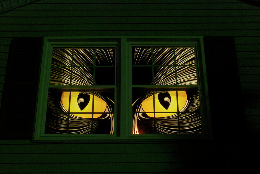 Halloween Cat Eyes Photograph by Thomas Woolworth