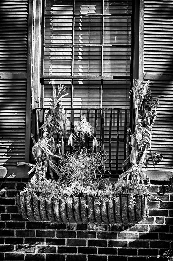 Halloween Decoration in Downtown Philadelphia Photograph by Val Black Russian Tourchin