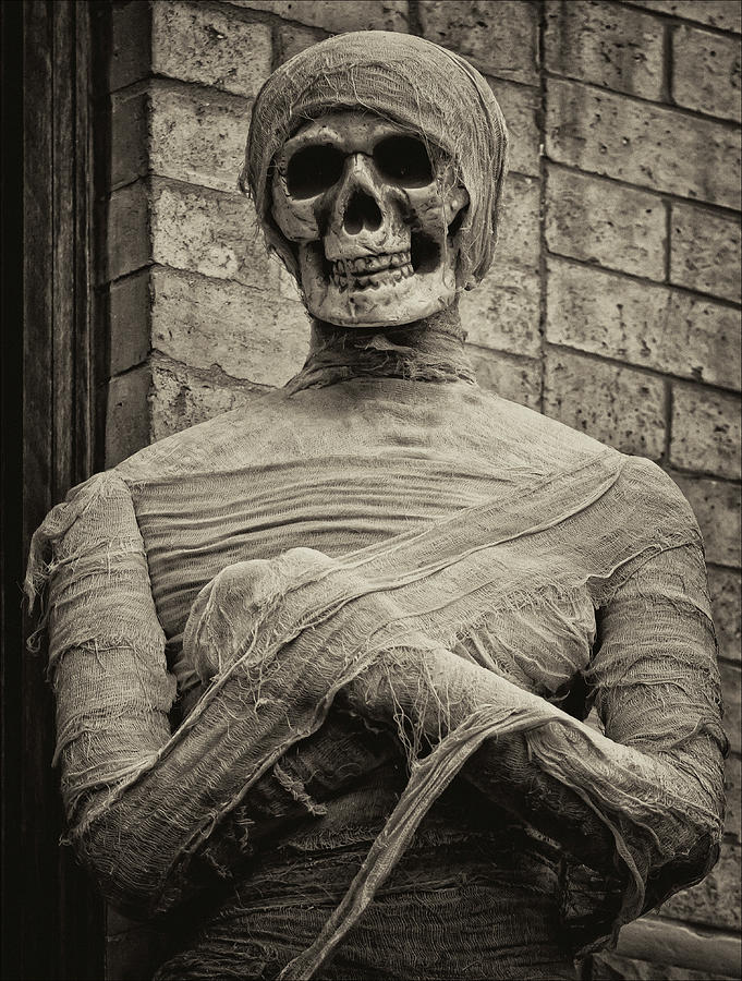 Halloween Decoration Mummy Photograph by Robert Ullmann