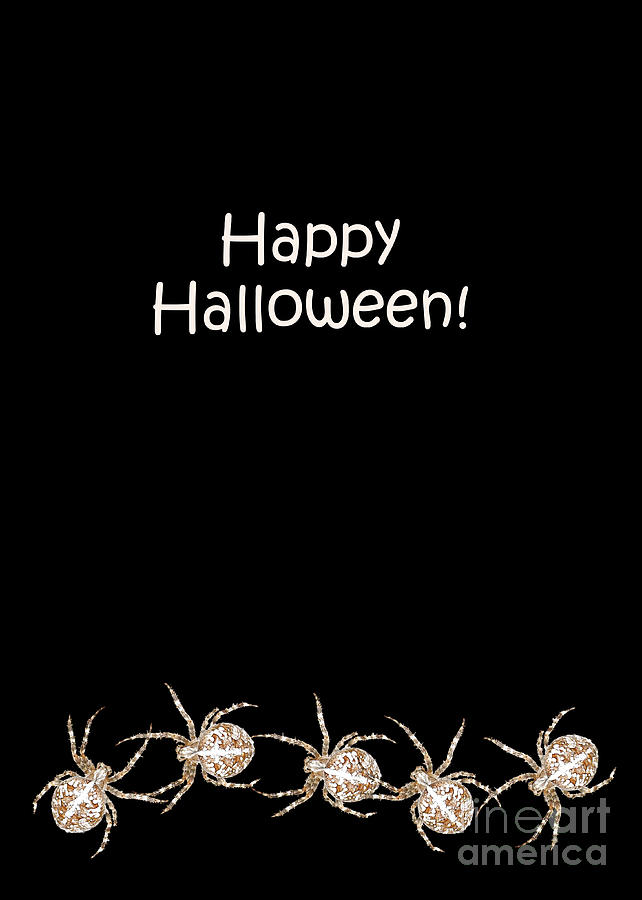 Halloween Photograph - Halloween Greetings. Spider Party Series #03 by Ausra Huntington nee Paulauskaite