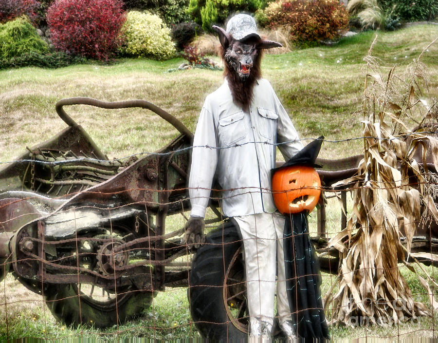 Halloween Photograph - Halloween On The Farm by Rory Siegel