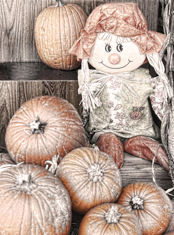 Halloween Scarecrow Sketch Digital Art by Linda Phelps