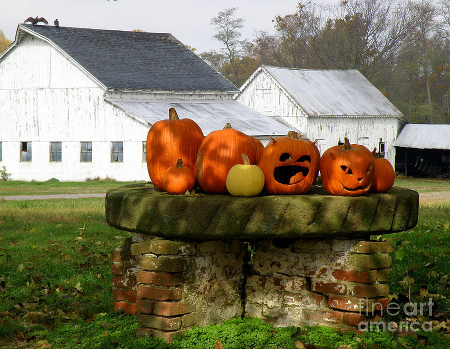 Halloween Scene Photograph by Lainie Wrightson