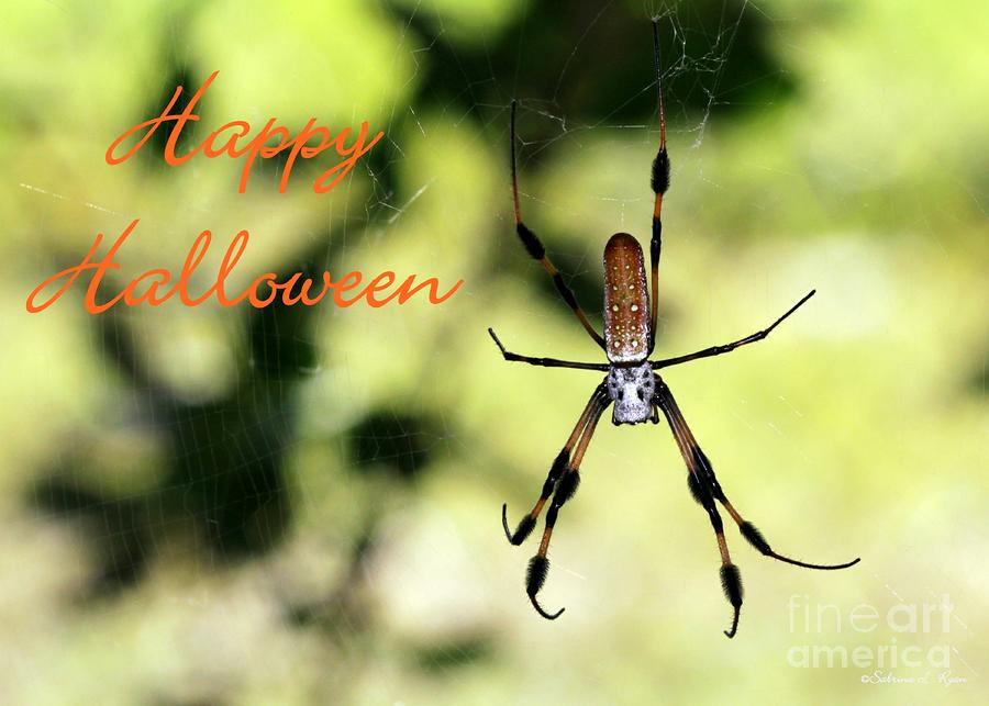 Halloween Spider Card Photograph by Sabrina L Ryan