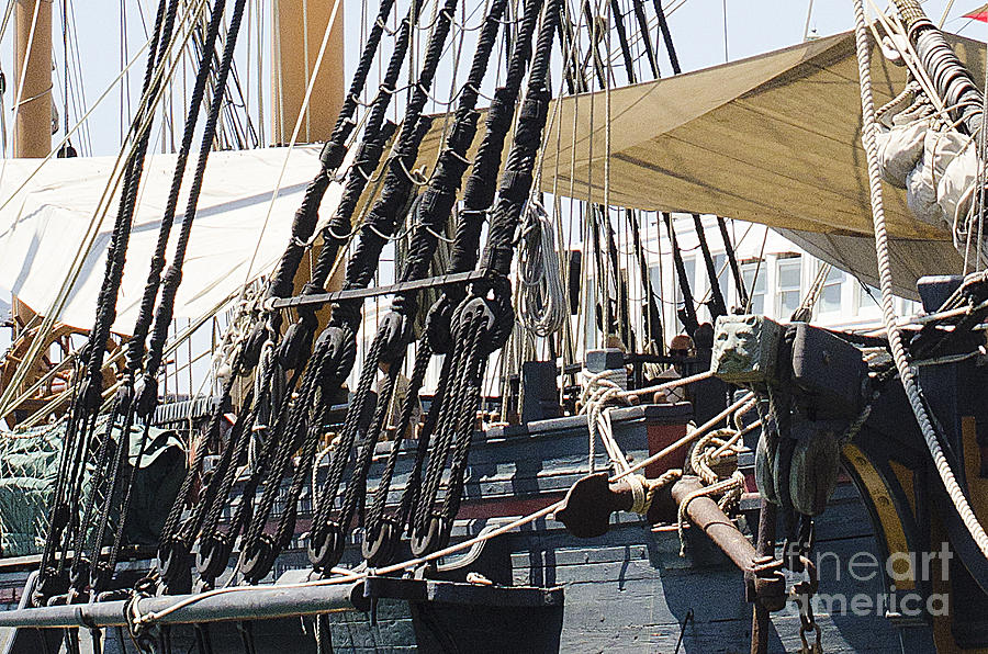 Halyards and Sheets Photograph by Mary Jane Armstrong