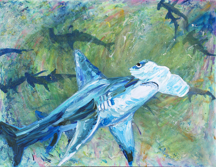 Hamerhead Shark Painting by Allen Vandever - Fine Art America