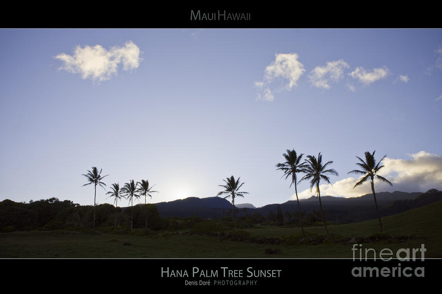 Black Photograph - Hana Palm Tree Sunset - Maui Hawaii Posters Series by Denis Dore Black Photograph - Hana Palm Tree Sunset - Maui Hawaii Posters Series by Denis Dore