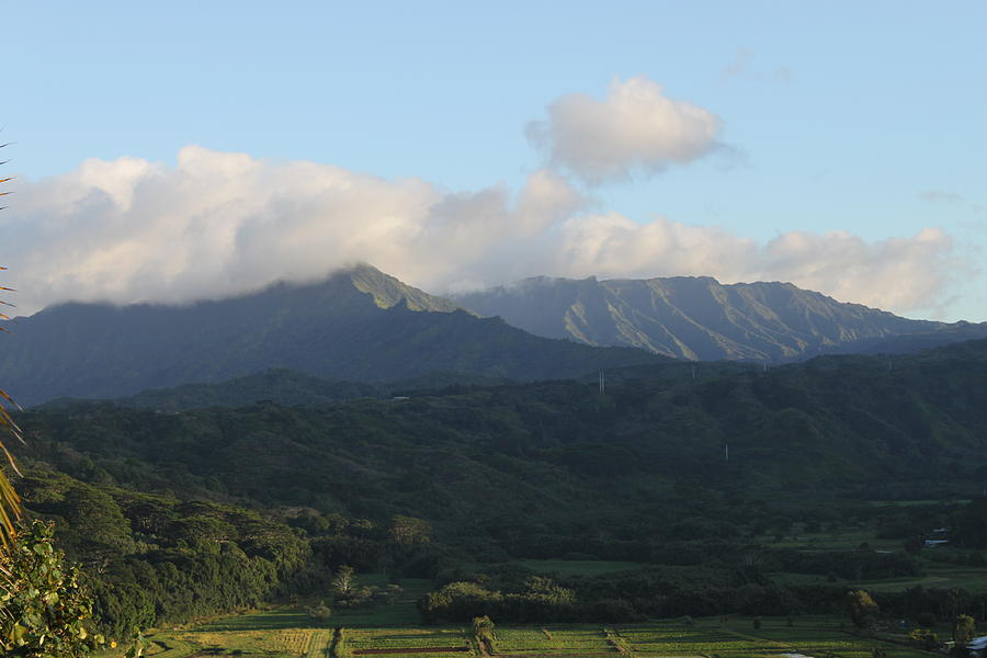 Mountain Photograph - Hanalei Valley- Kauai by Randy Spitzer