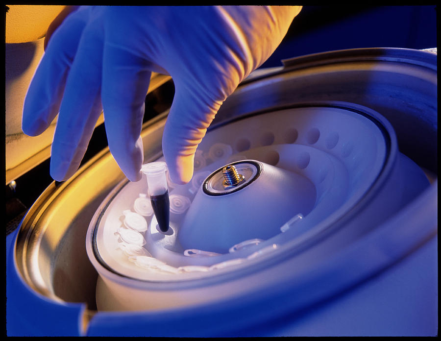 Blood Sample Photograph - Hand Loading A Blood Sample Into A Centrifuge by Tek Image
