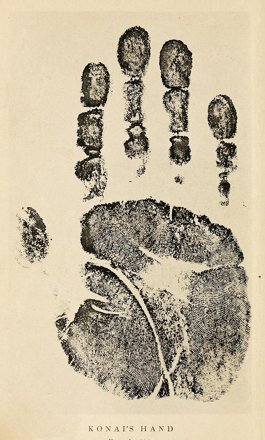 Unique Photograph - Hand Print From India. Sir William by Everett