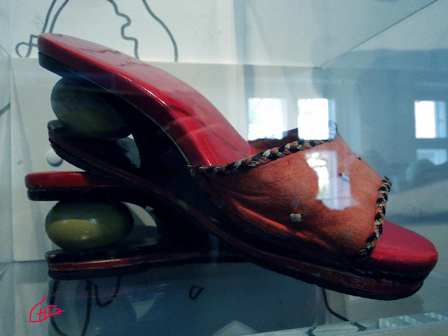 Handsome Shoes with fresh eggs in the middle plateu Photograph by Colette V Hera Guggenheim
