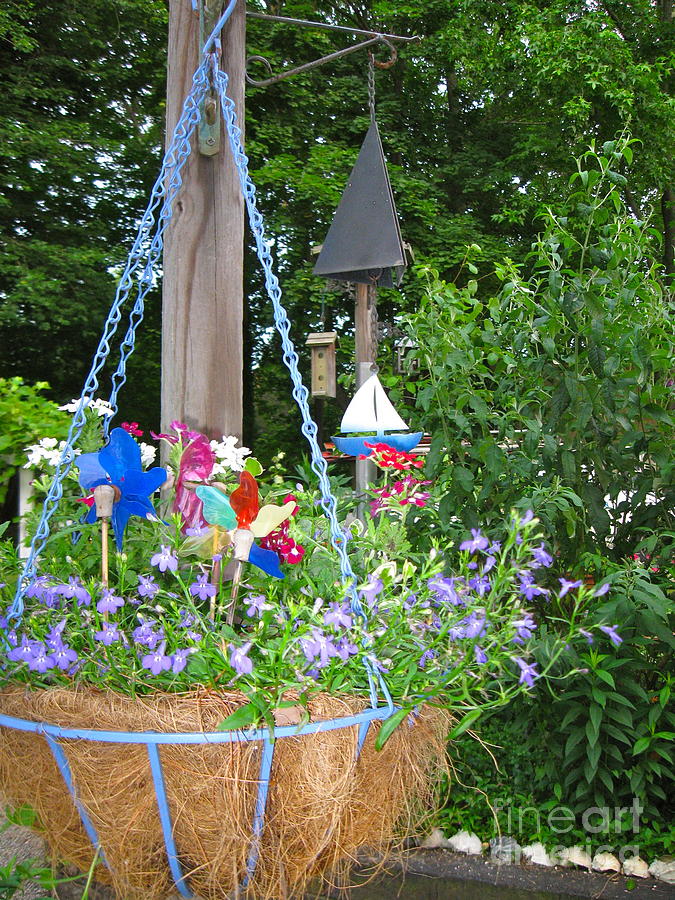 Hanging Basket  Photograph by Nancy Patterson