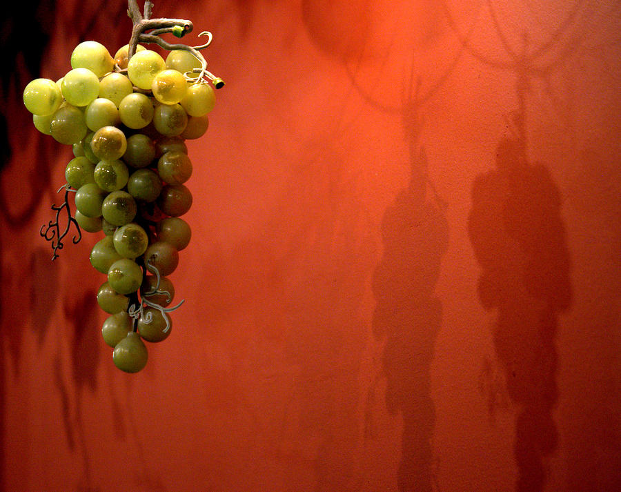 Hanging Grapes On The Wall Photograph by Jale Fancey