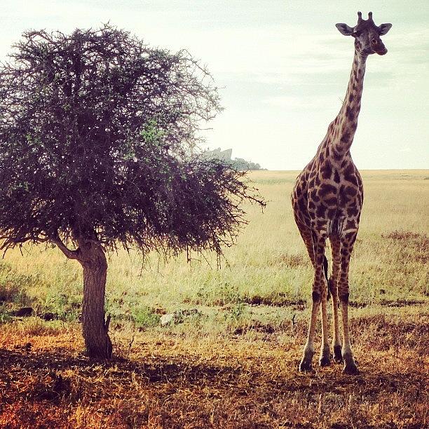 Nature Photograph - Hanging W/ @sarahjmg And #melman In The by Crystal Peterson