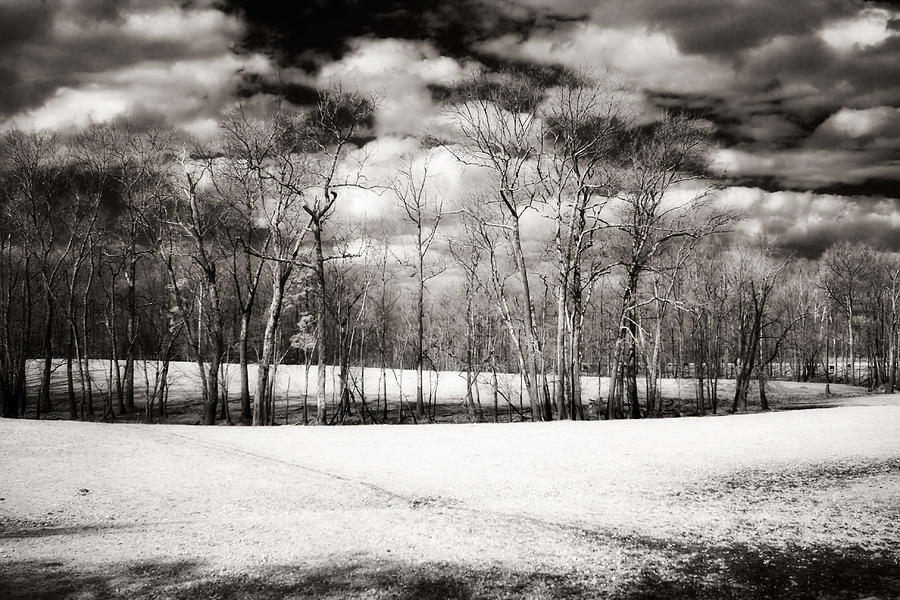 Hanover Winter -2 Photograph by Alan Hausenflock