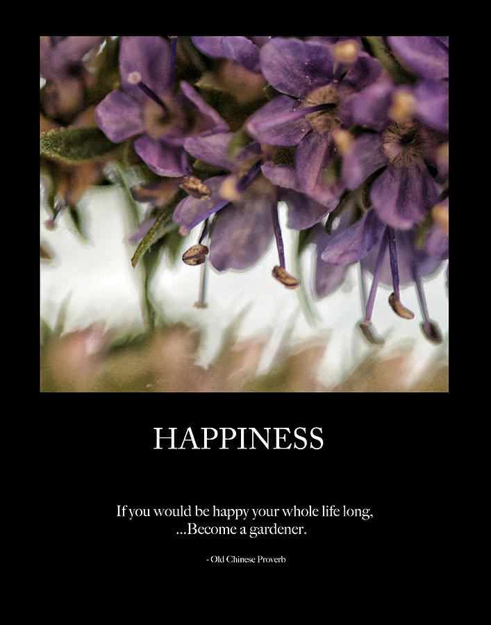 Happiness Photograph by Bonnie Bruno