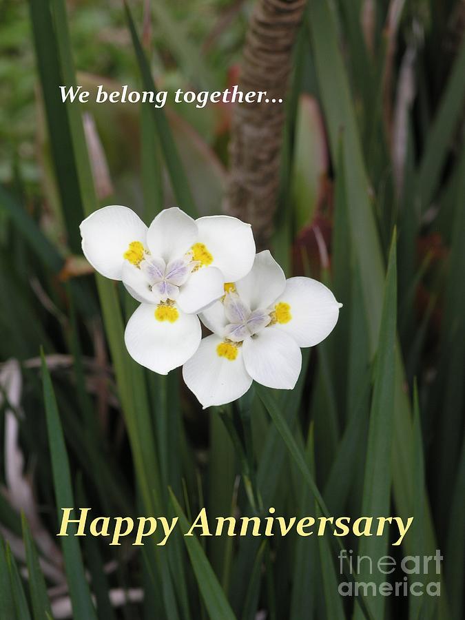 Happy Anniversary Photograph by Mary Deal