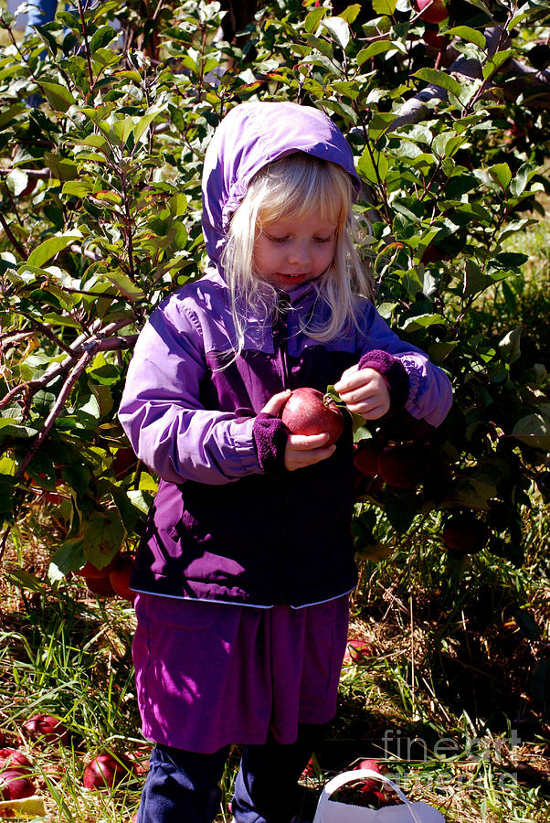 Happy Apple Girl Photograph by Andrea Simon