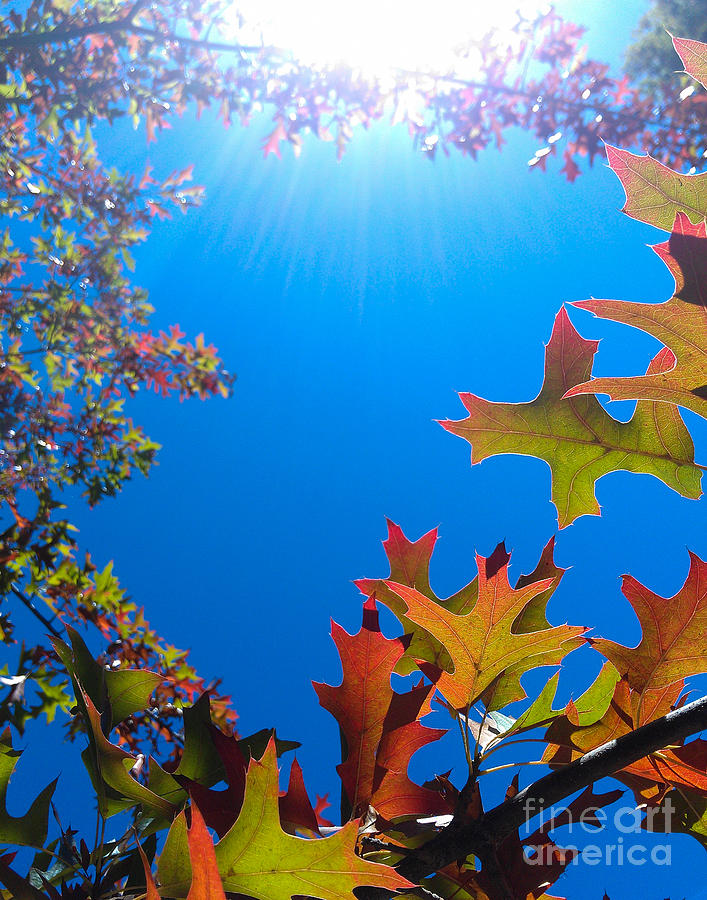 Fall Photograph - Happy Autumn by CML Brown Fall Photograph - Happy Autumn by CML Brown