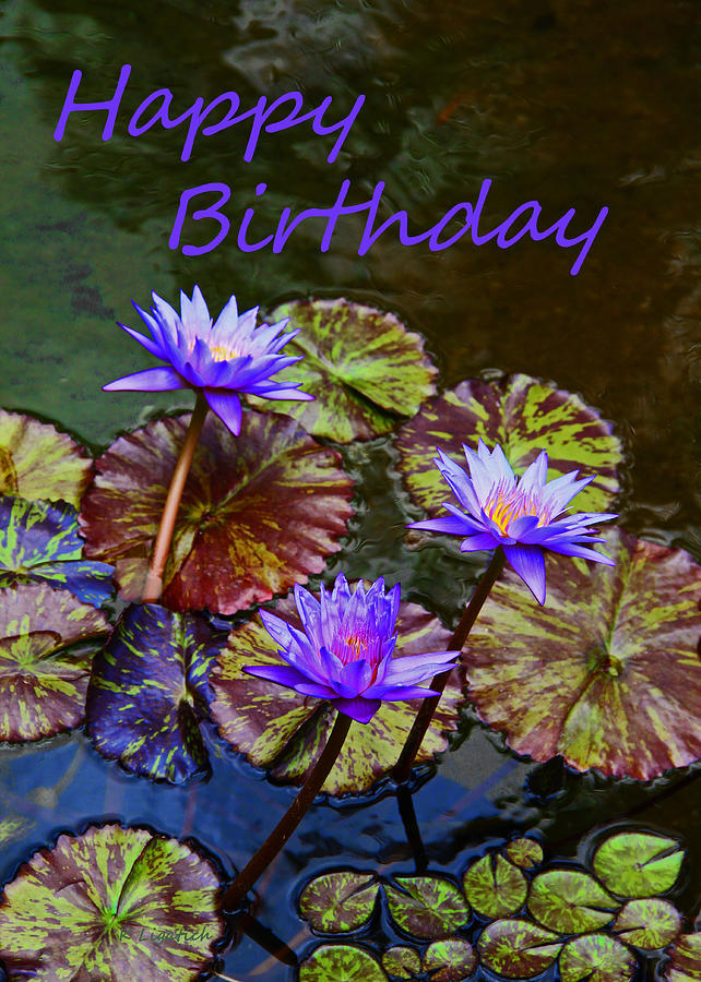 Happy Birthday - Water lilies Photograph by Kerri Ligatich