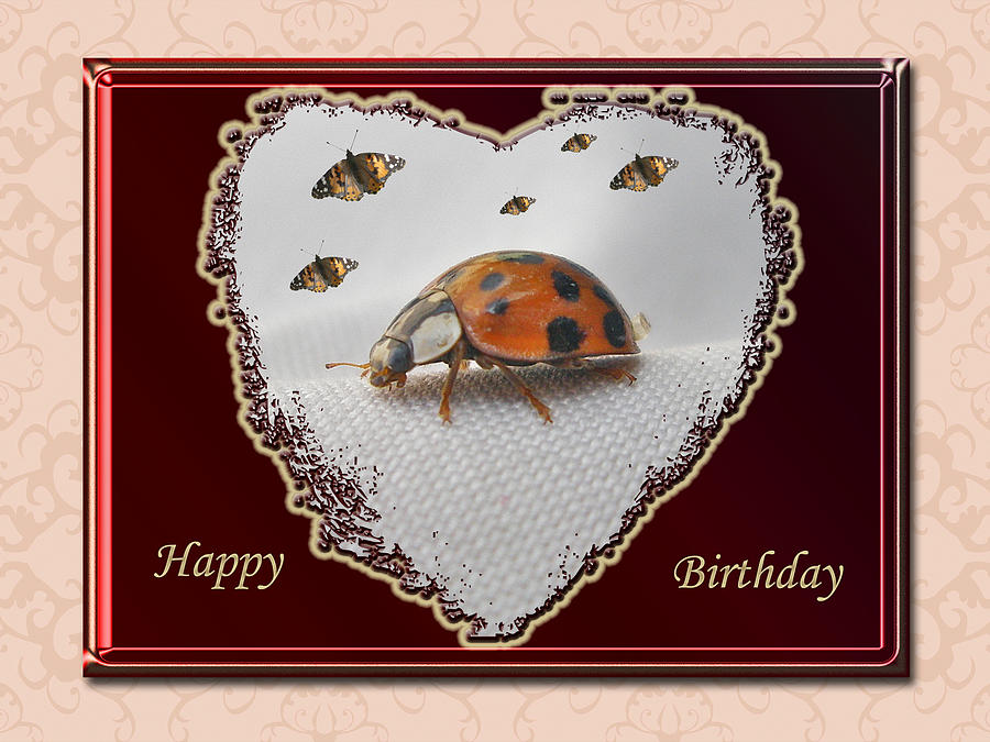 Happy Birthday Greeting Card - Ladybug Photograph by Carol Senske ...