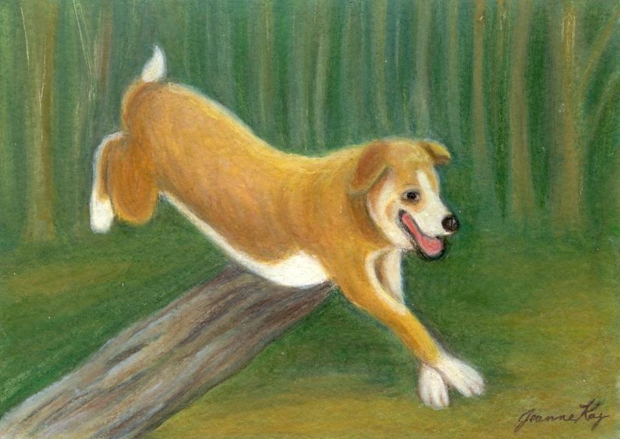 Happy Dog Running Painting by Jeanne Juhos