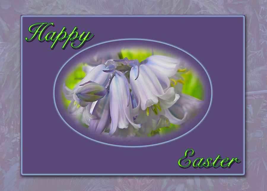 Happy Easter Blue Hyacinth Flowers Photograph by Mother Nature