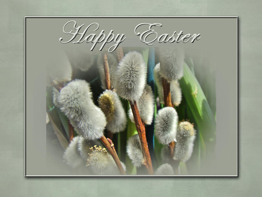 Happy Easter Greeting Card - Pussywillows Photograph by Carol Senske