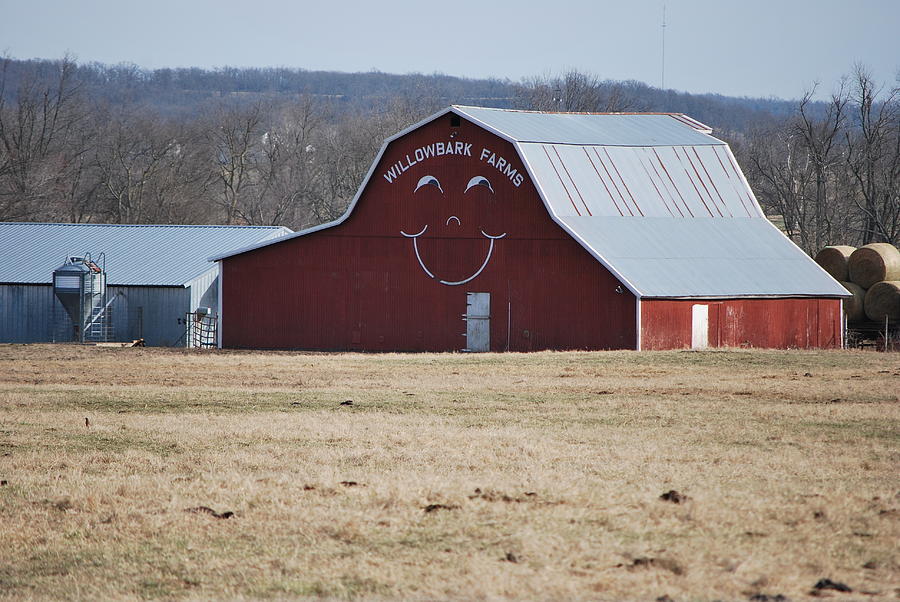 Farm Photograph - Happy Farm by Michele Carter