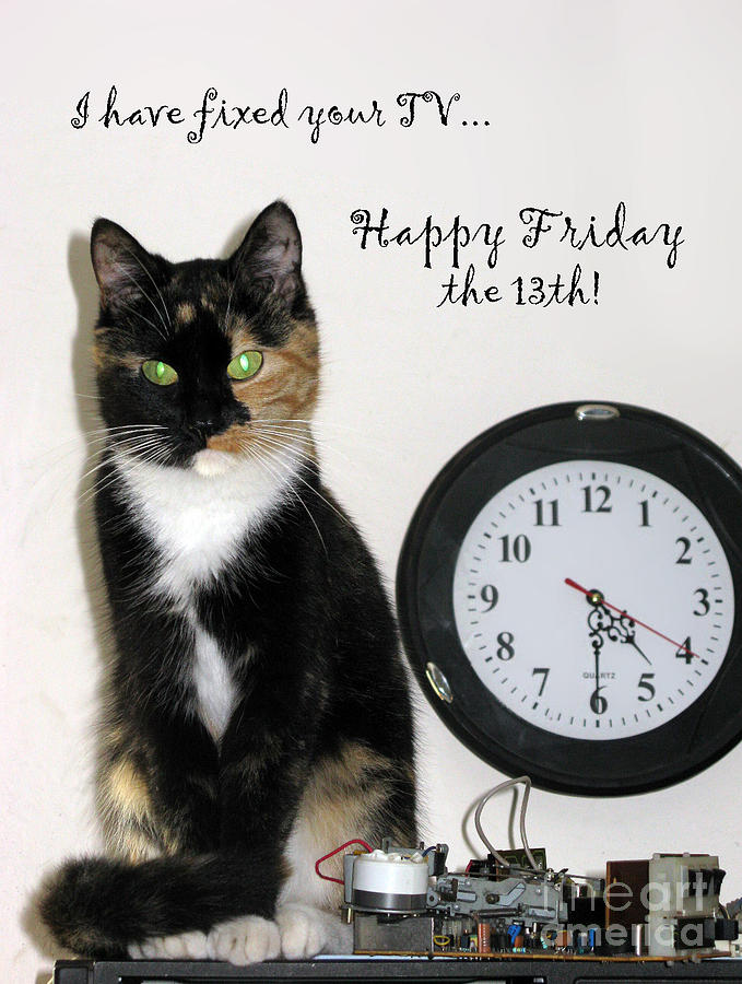Cat Photograph - Happy Friday The 13th by Ausra Huntington nee Paulauskaite