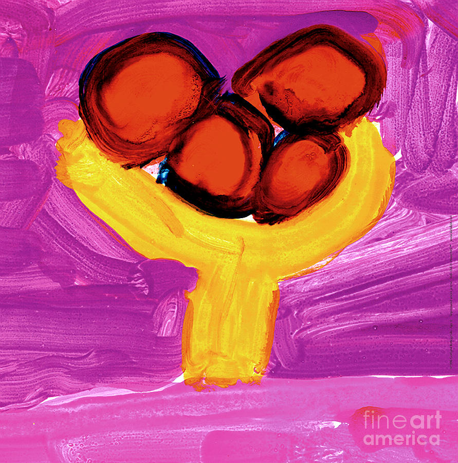 Happy Fruit Painting by Cortland Bobczynski Age Six