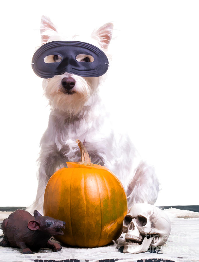 Halloween Photograph - Happy Halloween Dog by Edward Fielding