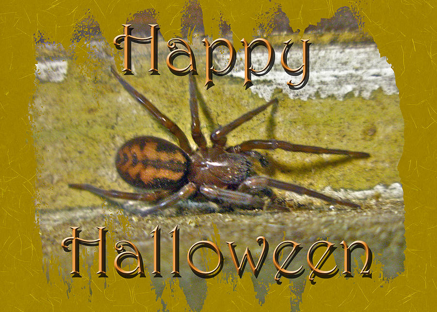 Happy Halloween Spider Greeting Card Photograph by Carol Senske