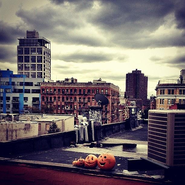 Happy Pumpkins Under Angry Storm Clouds Photograph by Vivienne Gucwa
