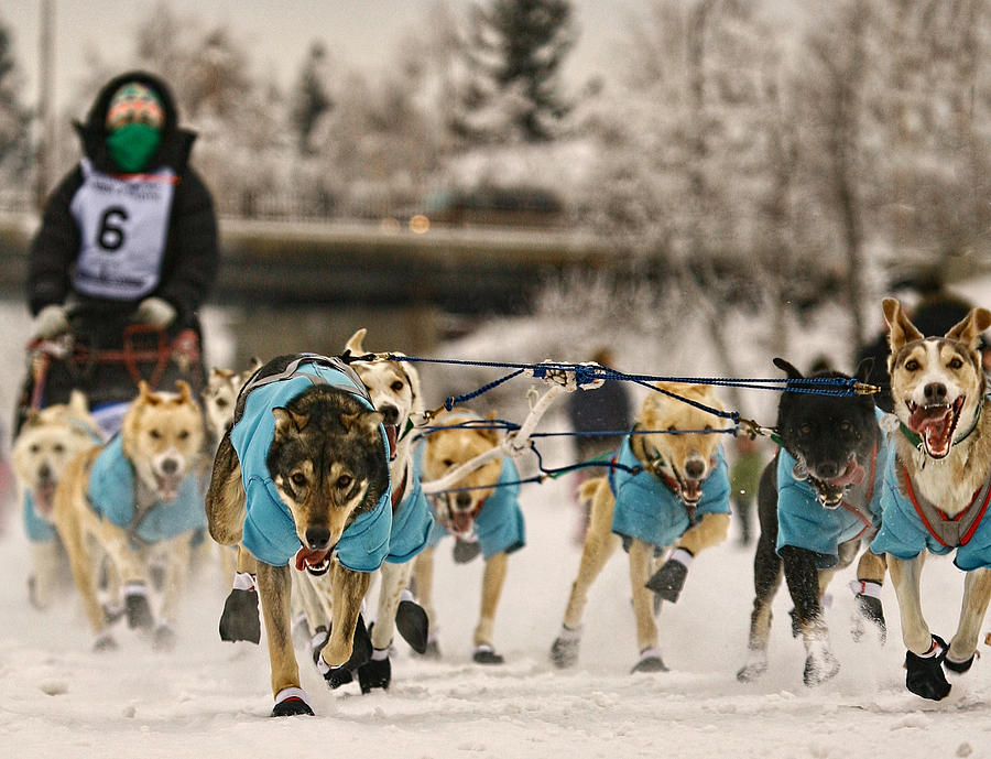 Happy Runners Photograph by Ronald Lafleur - Fine Art America