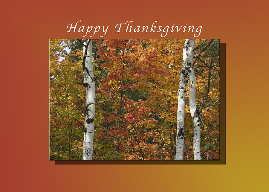 Happy Thanksgiving Birch and Maple Trees Photograph by Michael Peychich