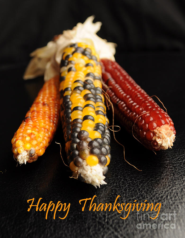 Thanksgiving Photograph - Happy Thanksgiving Card No.1 by Luke Moore