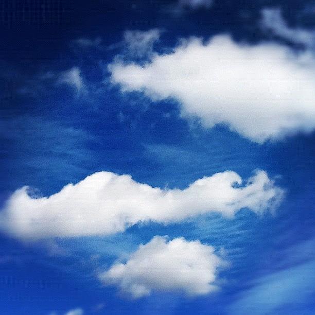 Happy To See Fluffy Clouds And Sunshine! Photograph by Amber Flowers