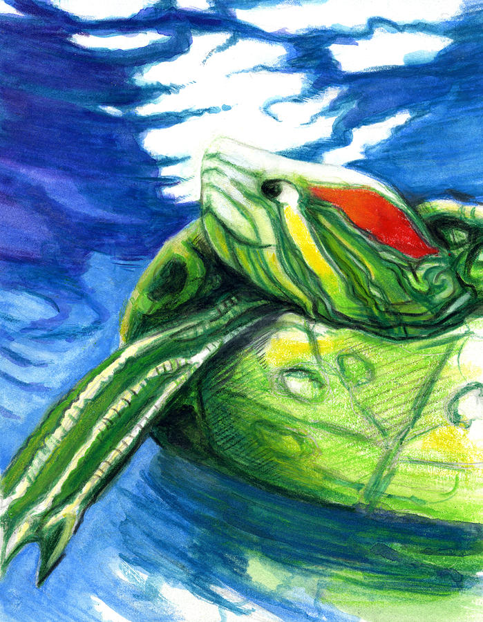 Happy Turtle Painting by Rene Capone