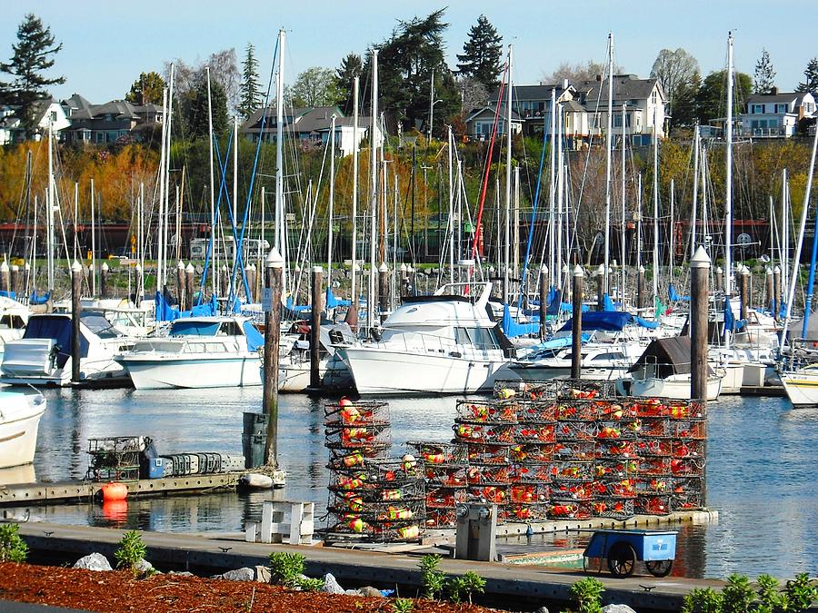 Harbor at Bellingham Photograph by Kelly Manning